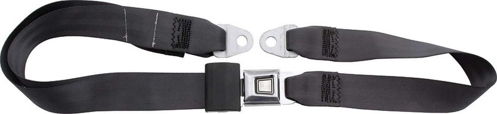 [ALL98112] Allstar Performance - Seat Belt Charcoal