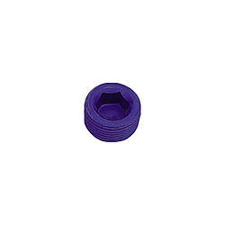[XRP993201] Xrp-Xtreme Racing Prod. - 1/16 Pipe Plug (Allen) (2pk)