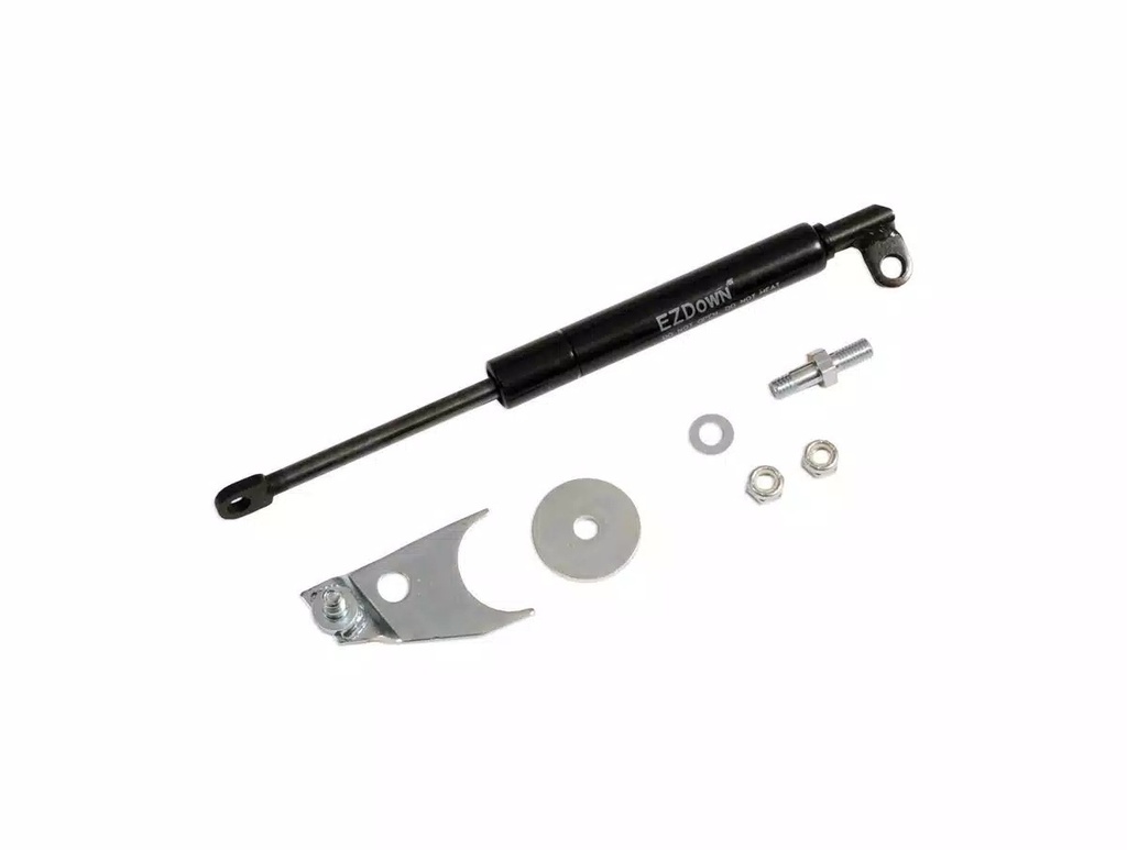 [DZZ43100] Dee Zee - Tailgate Assist