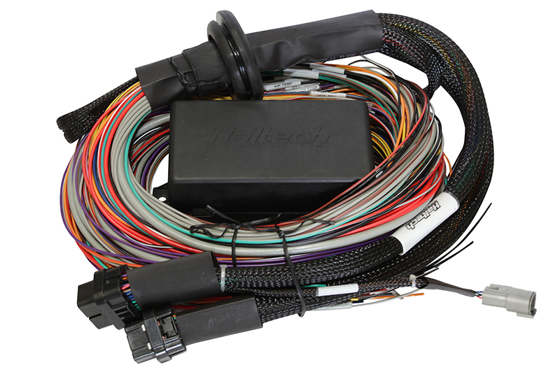 [HTHHT-141304] Haltech - Elite 2500 Premium Univ. Wire Harness