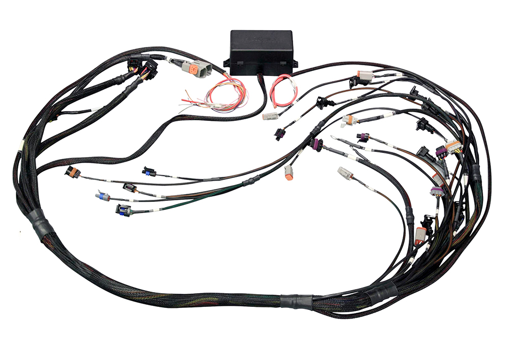 [HTHHT-141365] Haltech - Elite 2000/2500 Non Dbw Terminated Wire Harness