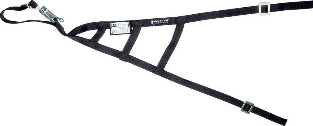 [ALL10246] Allstar Performance: Triangle Window Net SFI