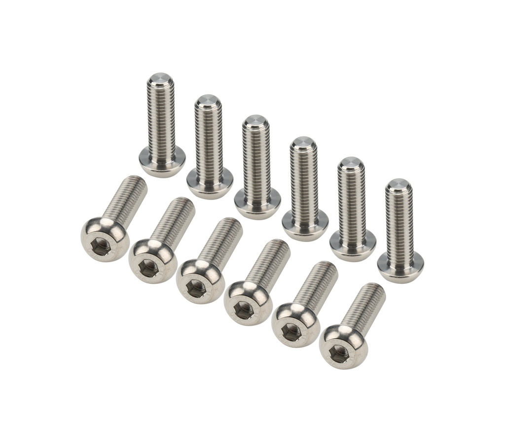 [ALL17008] Allstar Performance - Fuel Tank Top Plate Fastener Kit Titanium