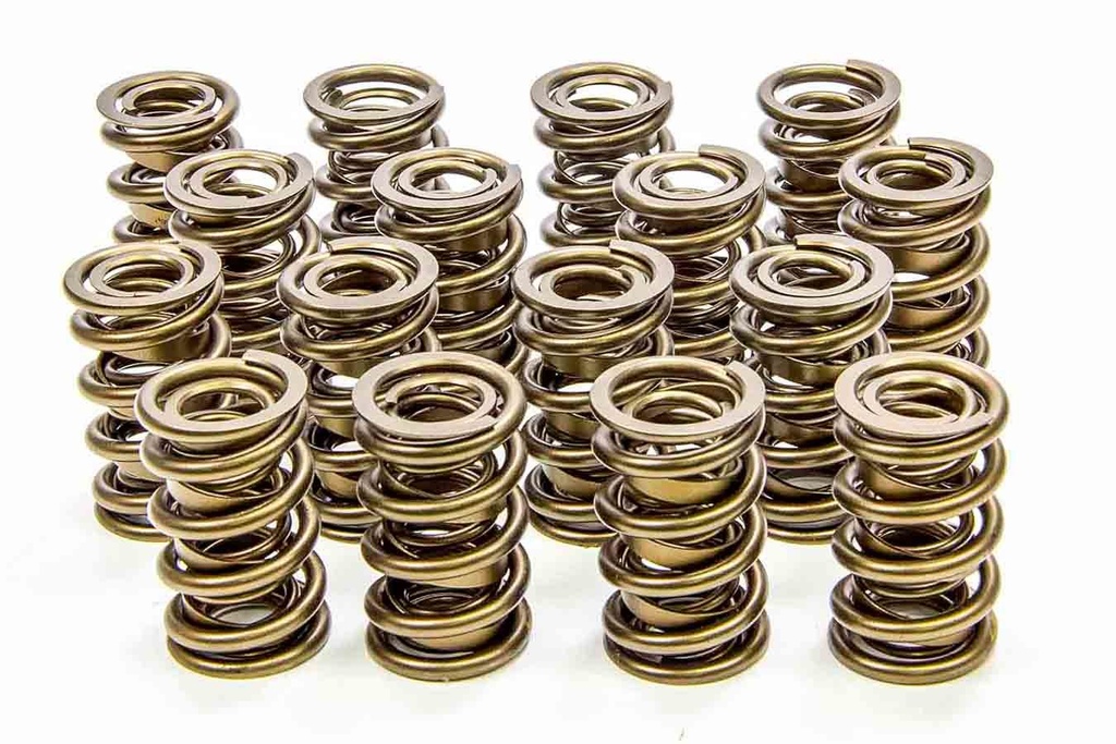 [ISK9945-RAD] Isky Cams - 1.625 Valve Springs